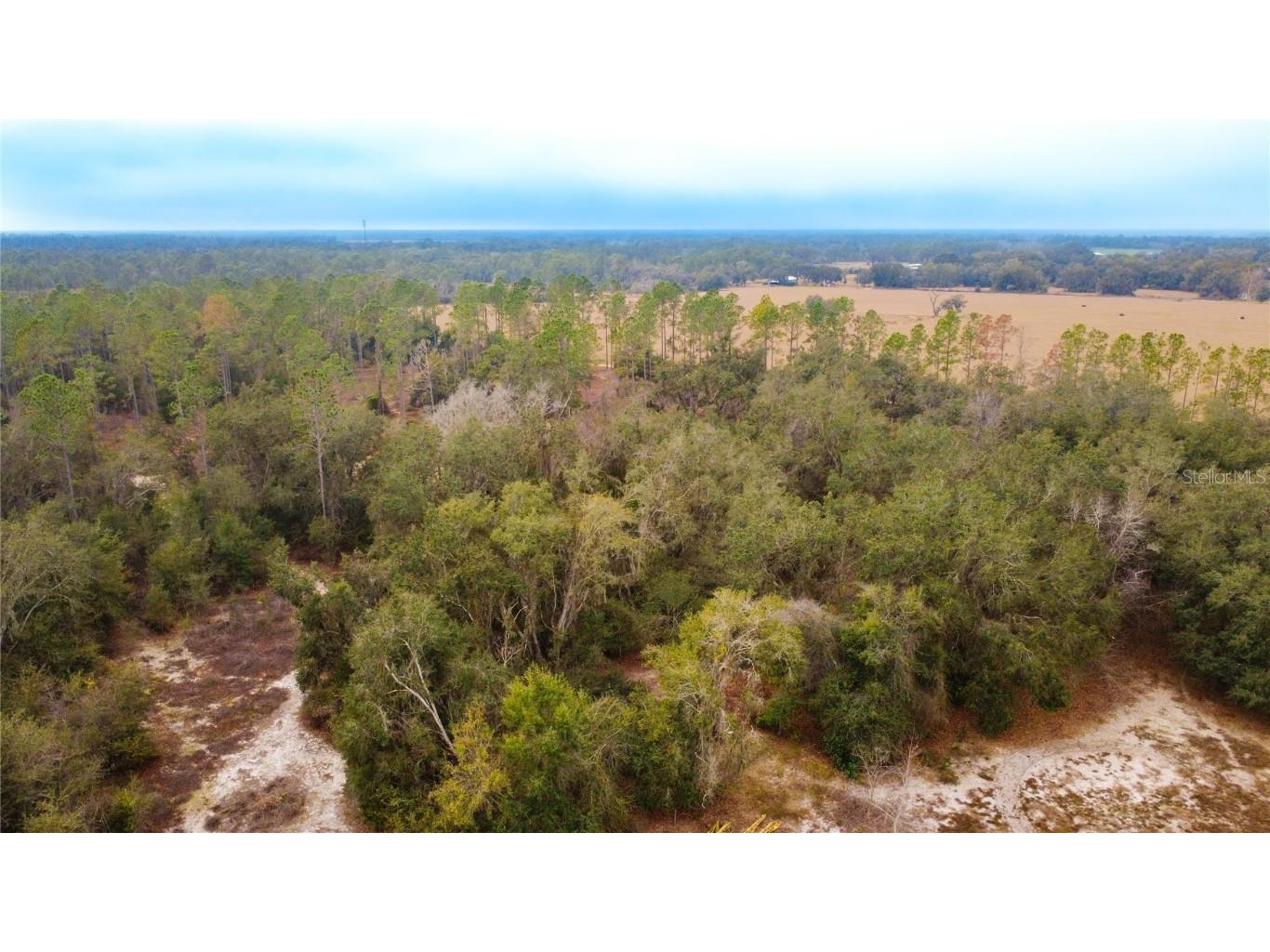 3230 Empire Church Road Groveland FL 34736 G5105677 image29