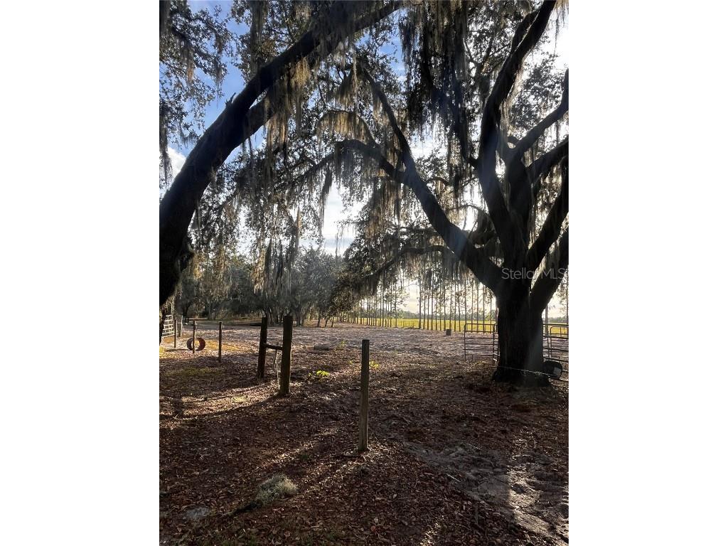 3230 Empire Church Road Groveland FL 34736 G5105677 image8