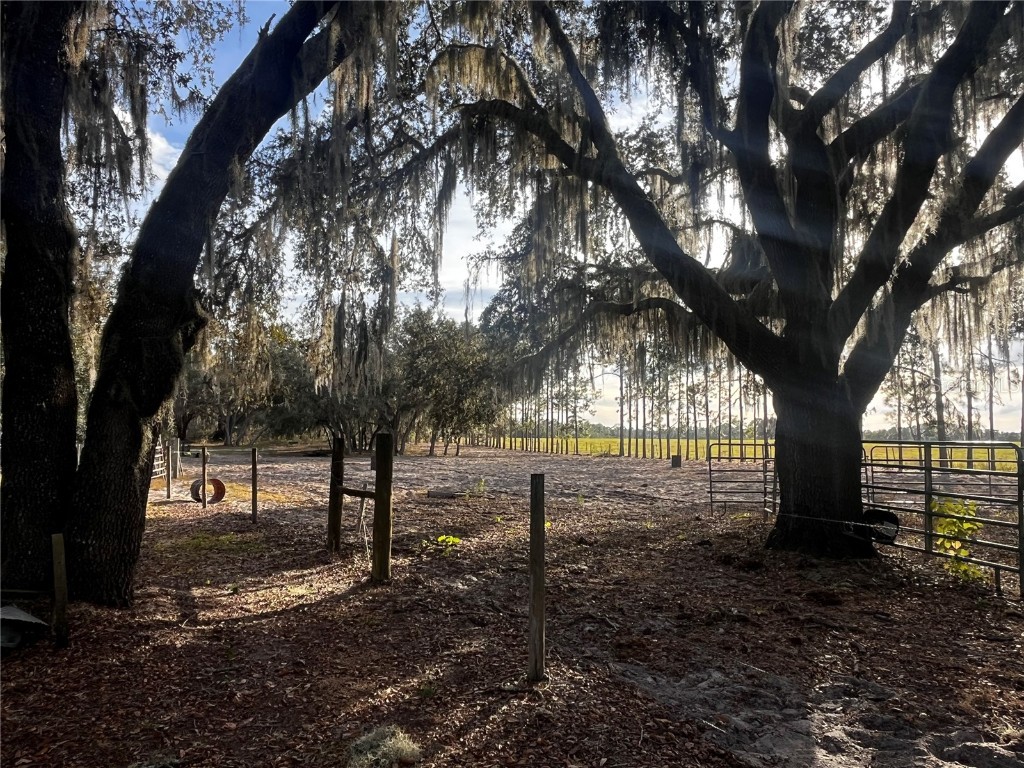 3230 Empire Church Road Groveland FL 34736 G5105677 image9