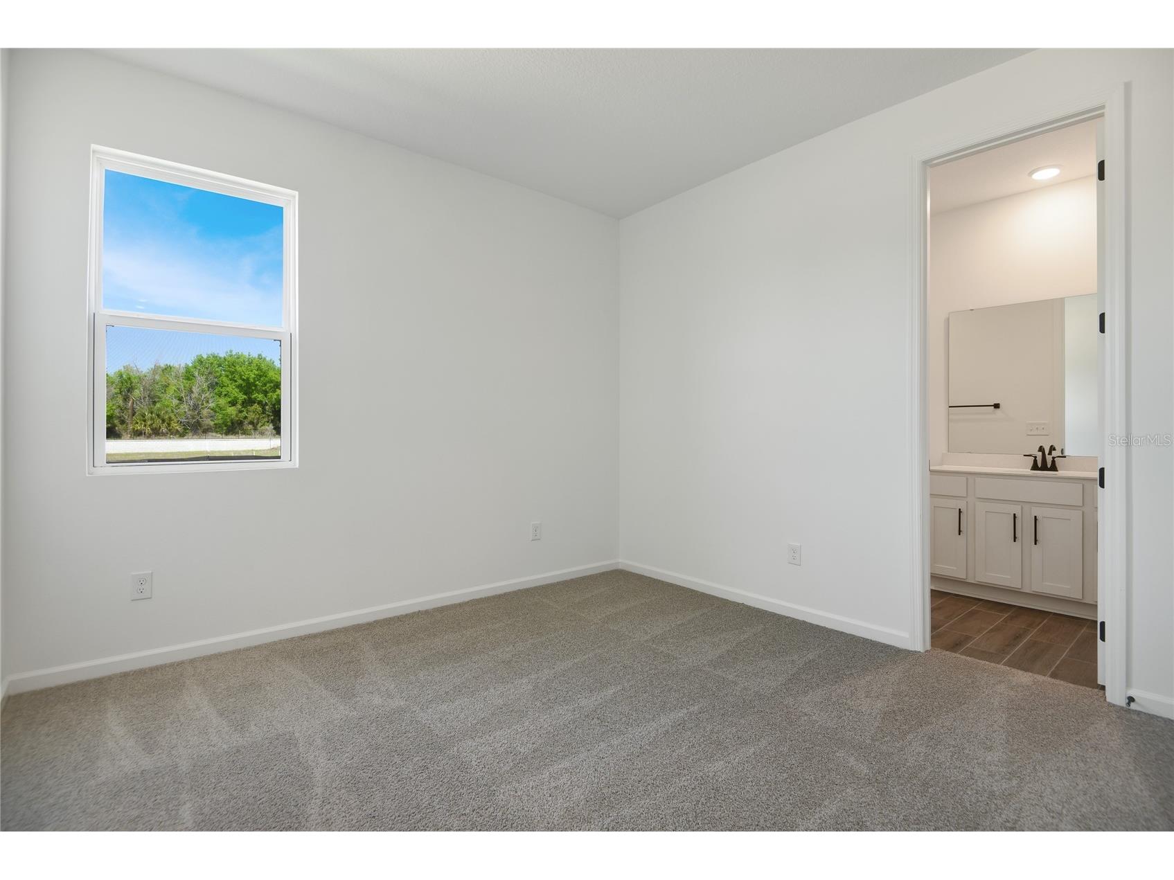 3230 Macchi Avenue Tavares FL 32778 S5144289 image13