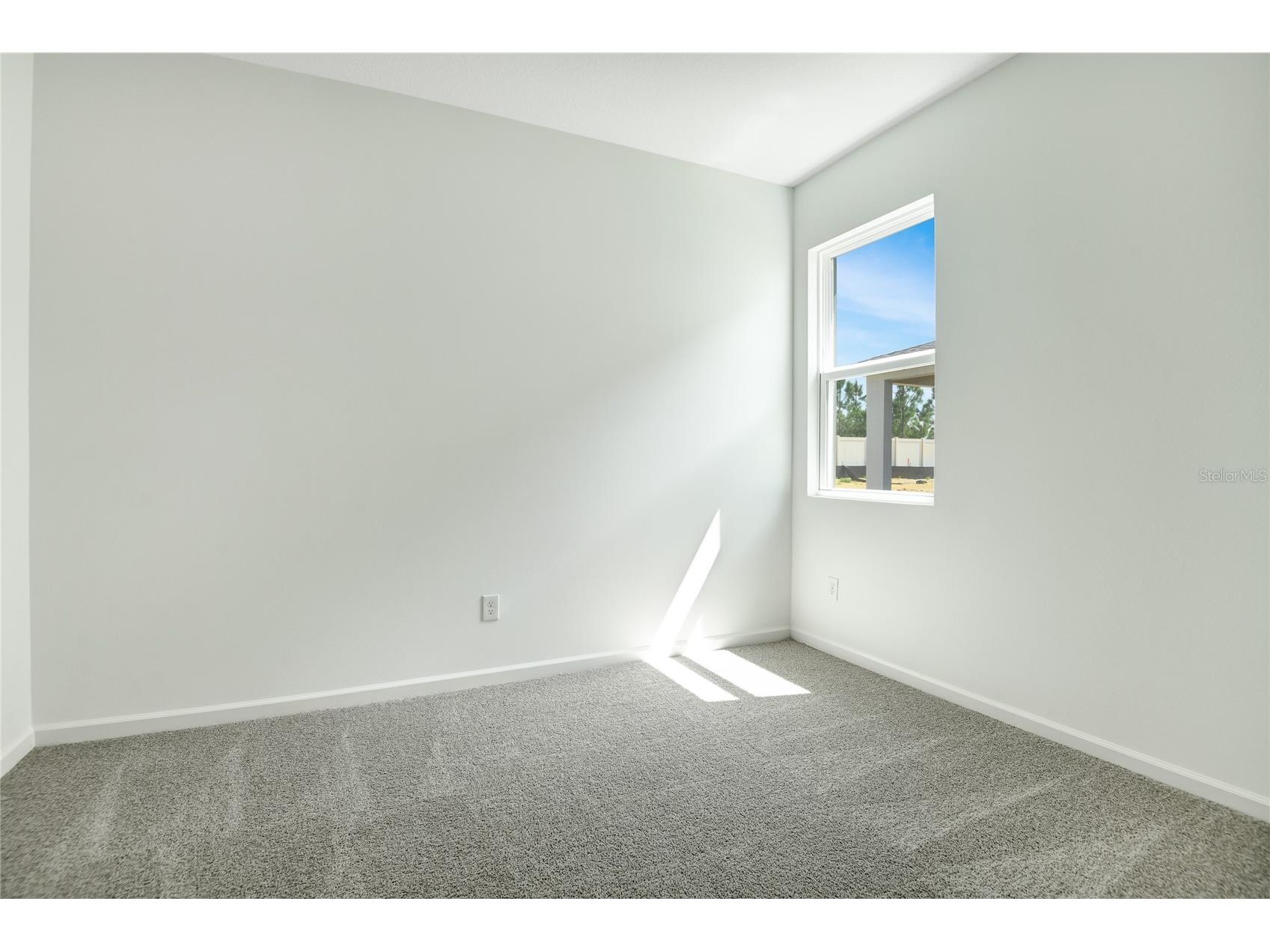 3230 Macchi Avenue Tavares FL 32778 S5144289 image5