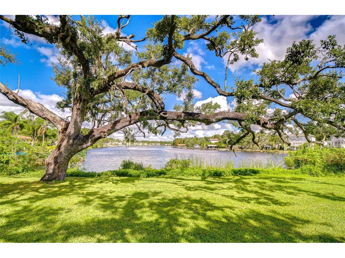 3230 N Rome Avenue Tampa FL 33607 TB8437056 image1