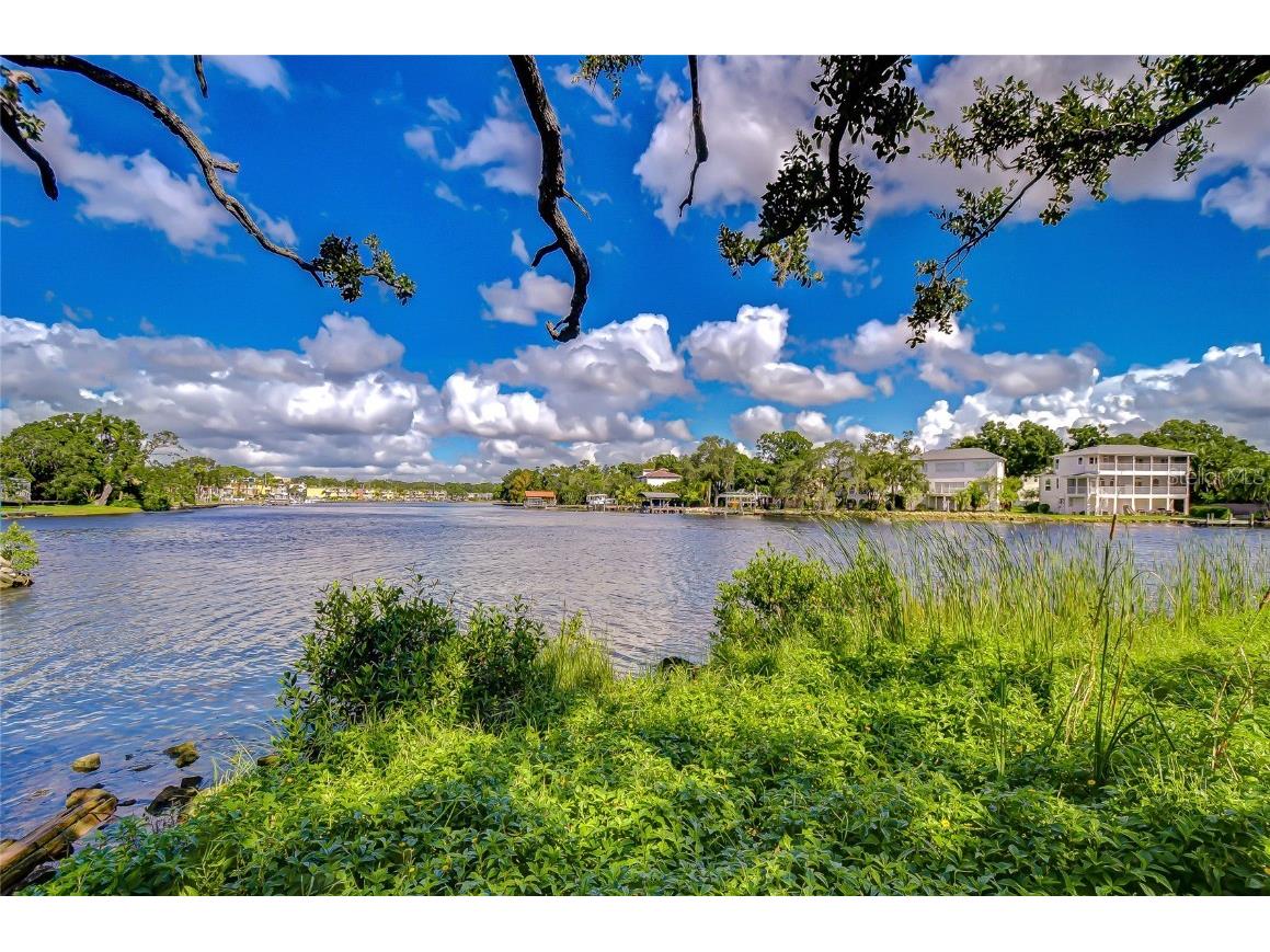 3230 N Rome Avenue Tampa FL 33607 TB8437056 image3