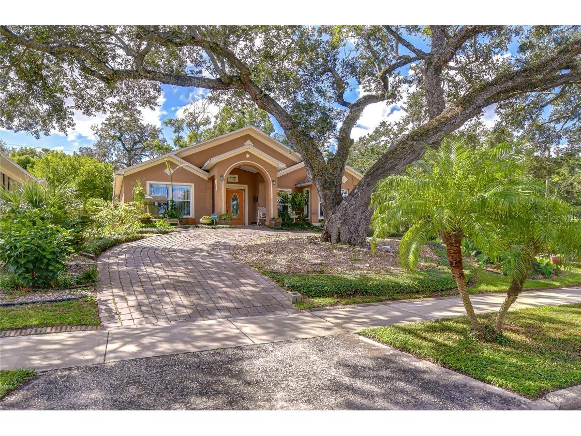 3230 N Rome Avenue Tampa FL 33607 TB8437056 image5