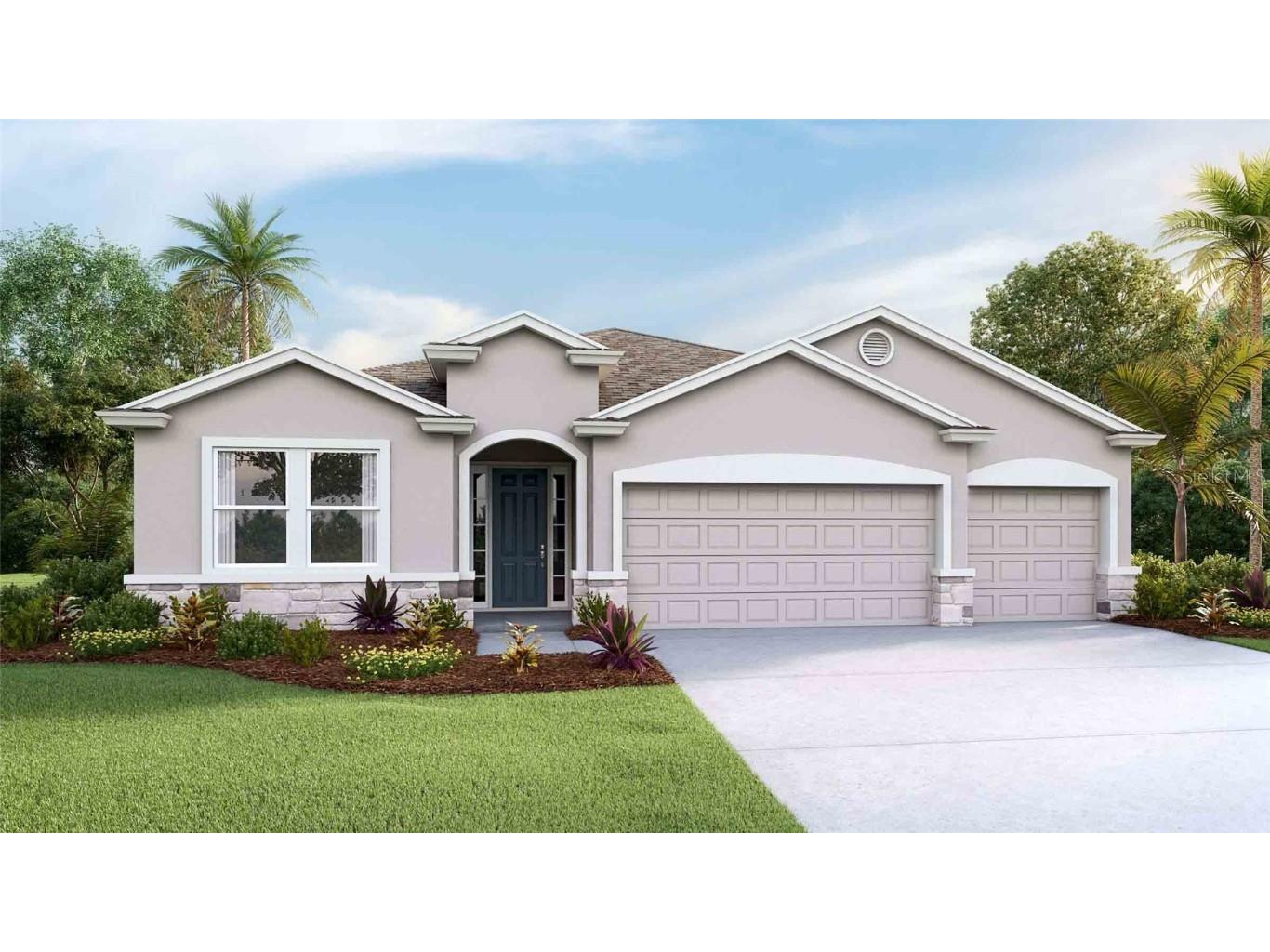 32301 Conchshell Sail Street Wesley Chapel FL 33545 T3426945 image1