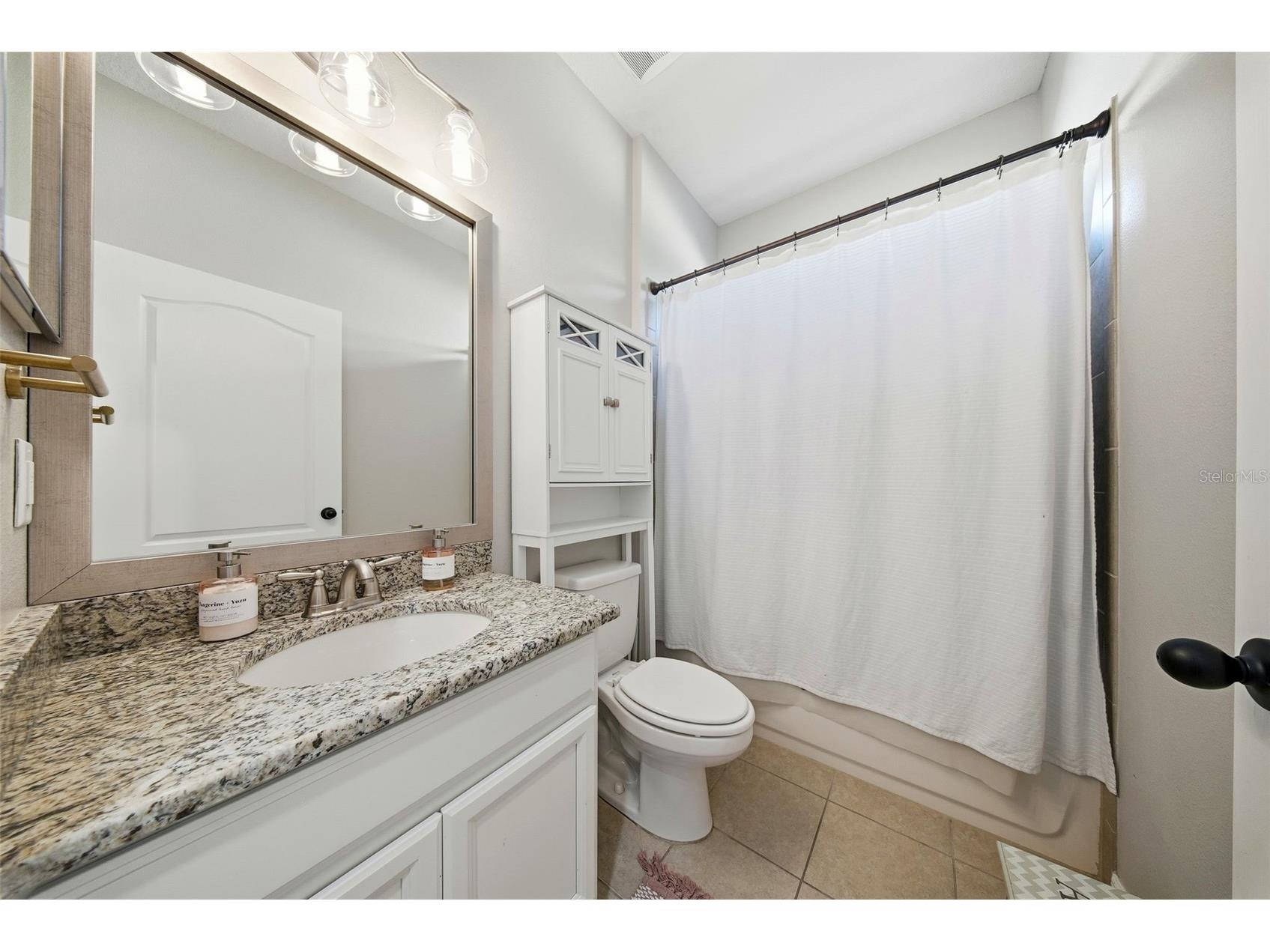 32306 Garden Alcove Loop Wesley Chapel FL 33545 TB8475535 image27
