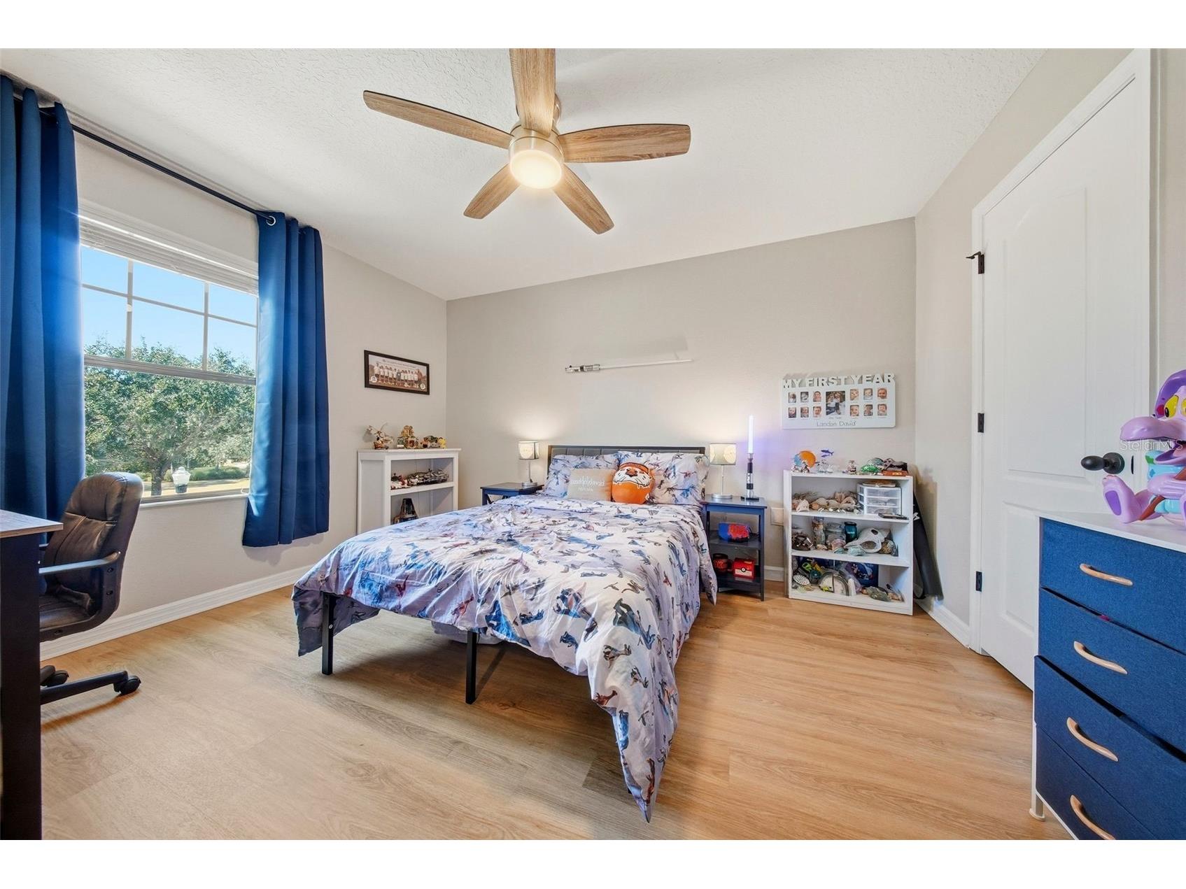32306 Garden Alcove Loop Wesley Chapel FL 33545 TB8475535 image37