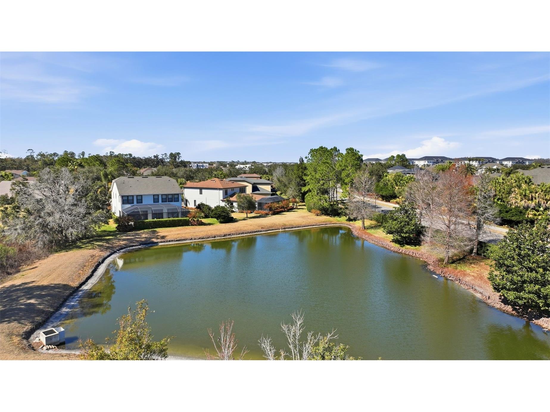 32306 Garden Alcove Loop Wesley Chapel FL 33545 TB8475535 image50
