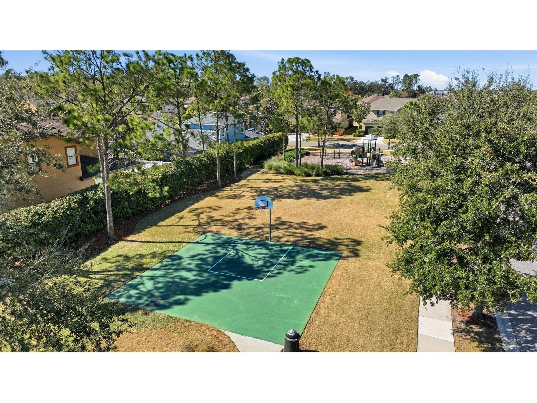 32306 Garden Alcove Loop Wesley Chapel FL 33545 TB8475535 image53
