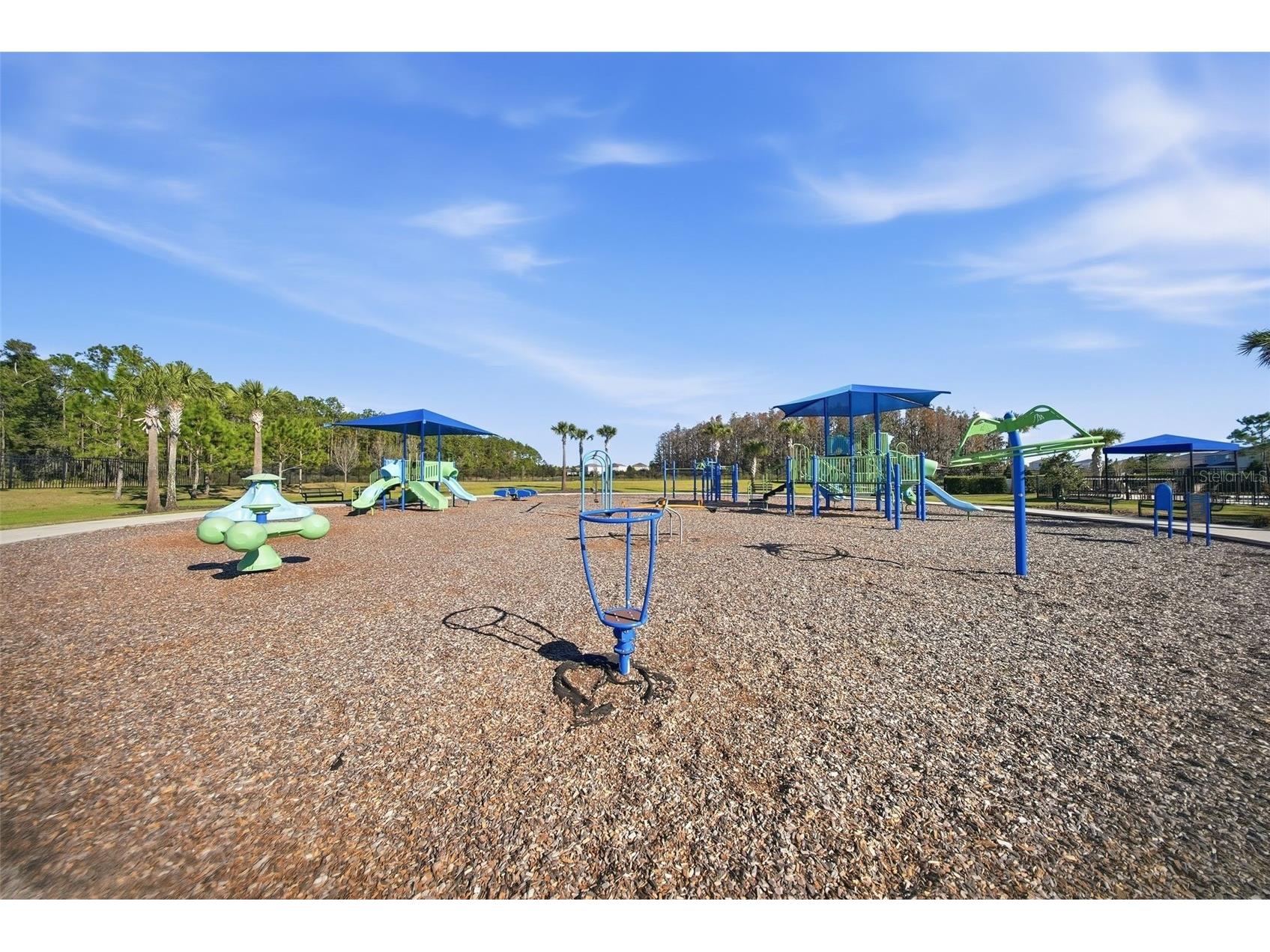 32306 Garden Alcove Loop Wesley Chapel FL 33545 TB8475535 image63