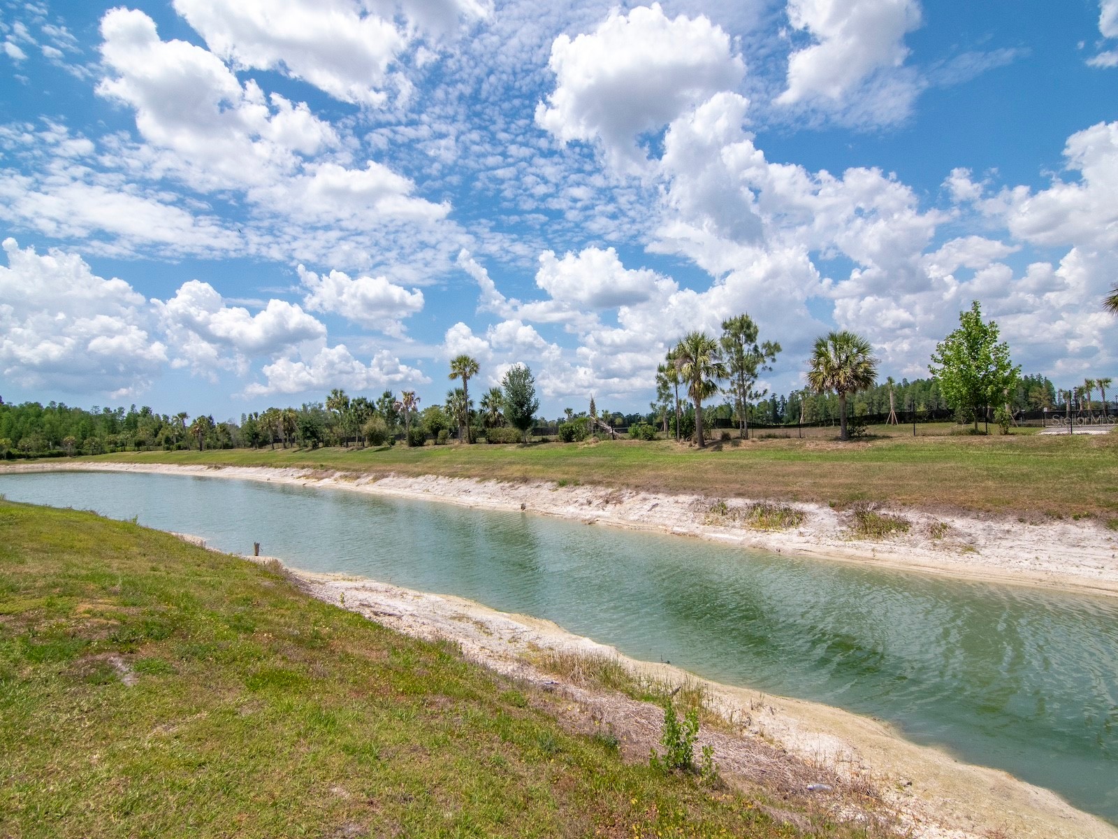 32309 Rosewood Meadow Lane Wesley Chapel FL 33543 TB8502105 image38