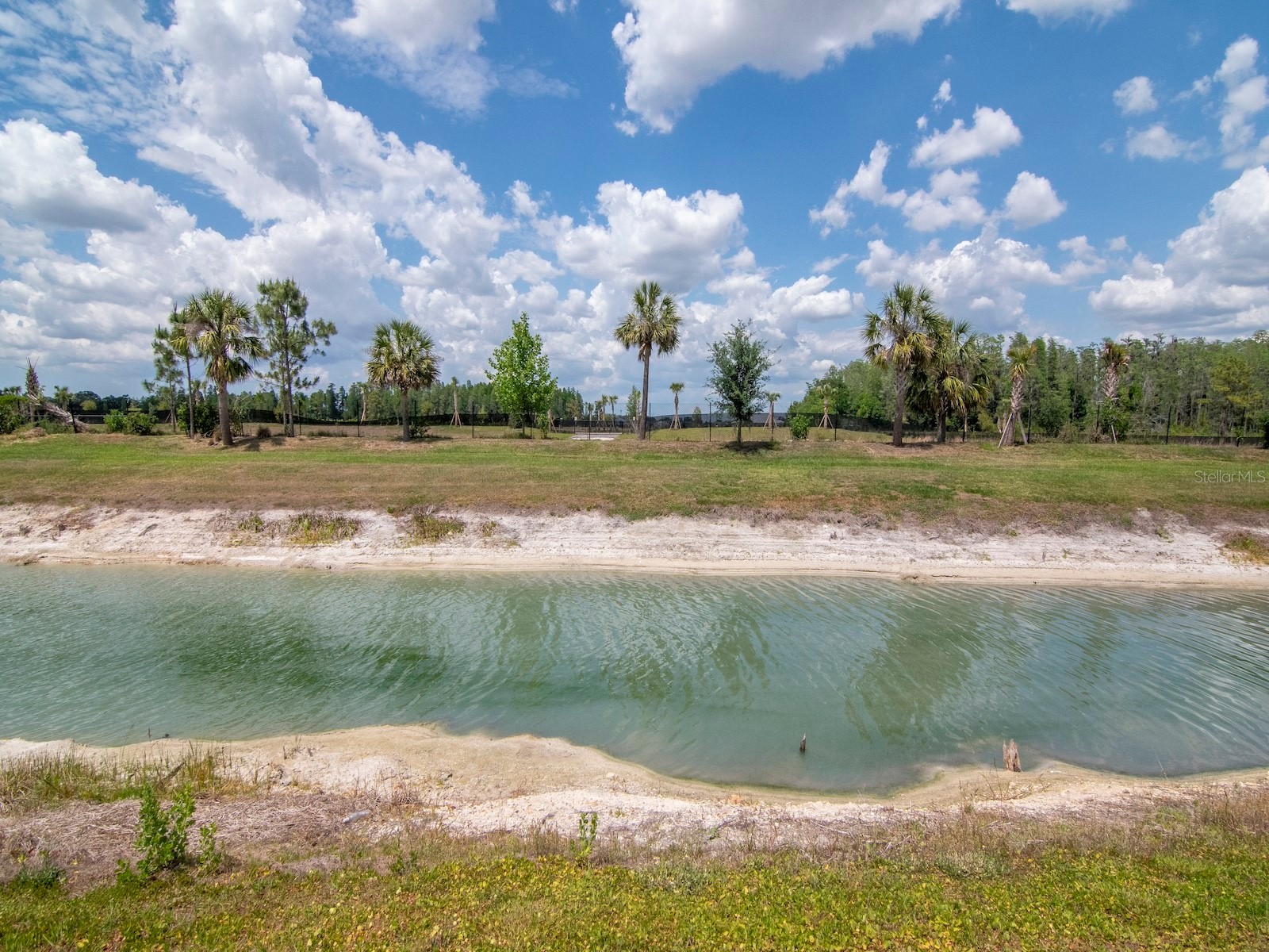 32309 Rosewood Meadow Lane Wesley Chapel FL 33543 TB8502105 image39