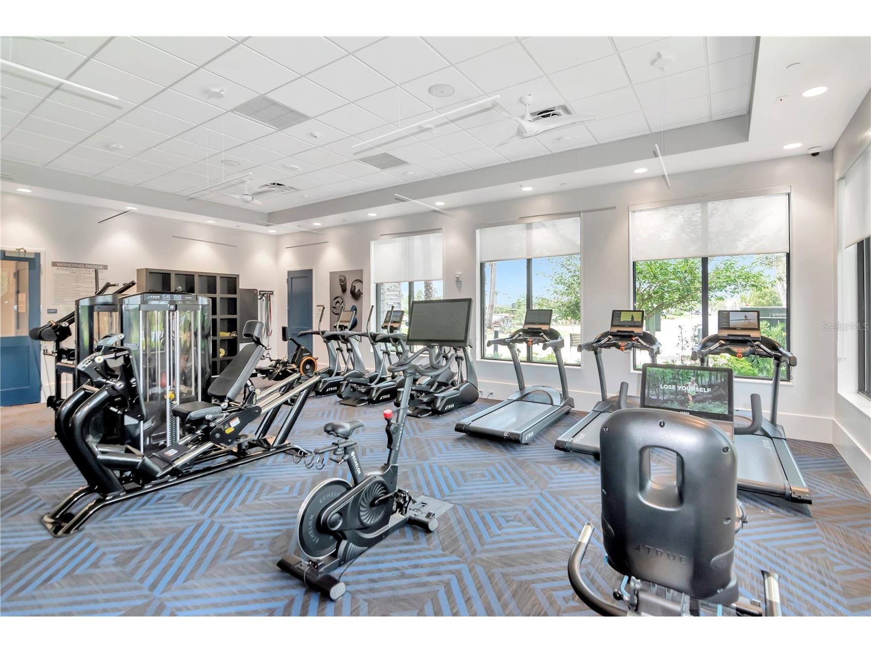 32309 Rosewood Meadow Lane Wesley Chapel FL 33543 TB8502105 image53