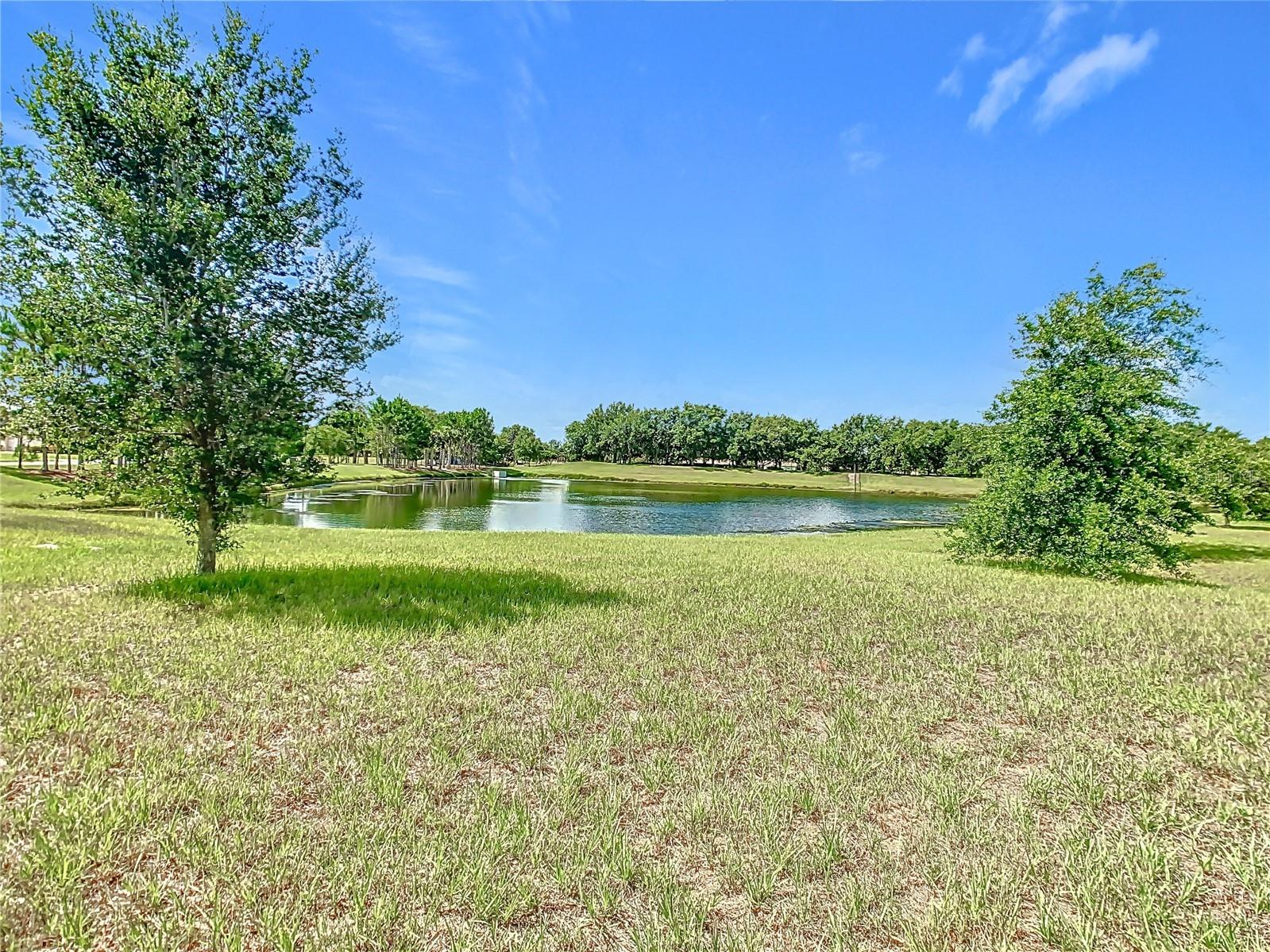 3231 Agostino Ter Kissimmee FL 34746 S5148406 image48
