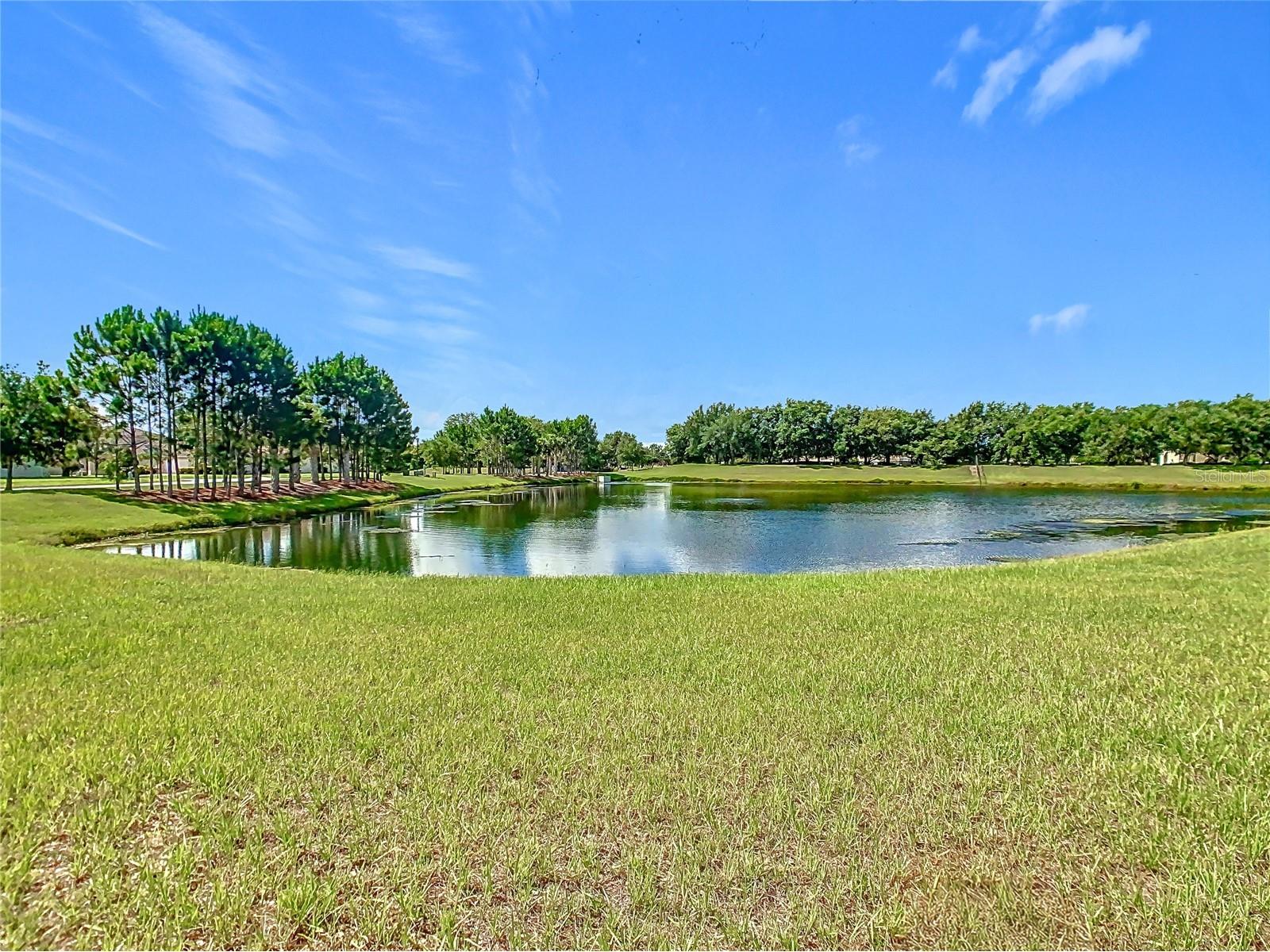 3231 Agostino Ter Kissimmee FL 34746 S5148406 image5