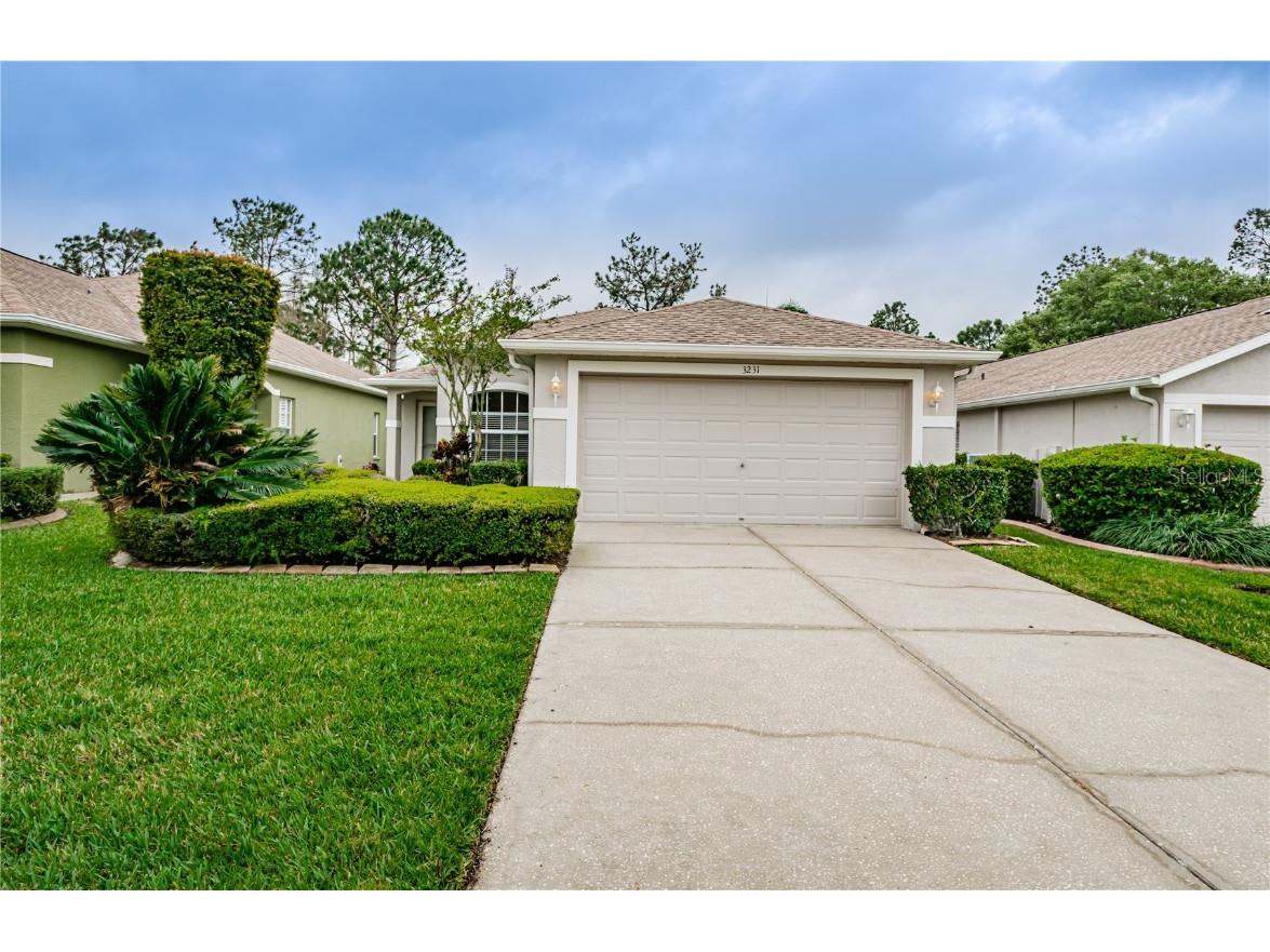 3231 Banyan Hill Lane Land O Lakes FL 34639 T3513681 image1