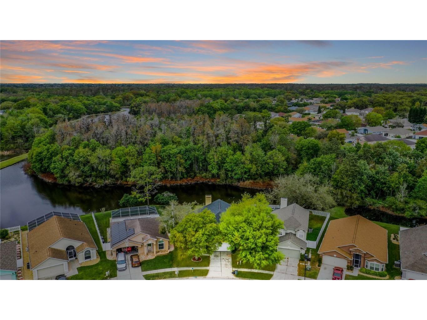 3231 Castle Rock Circle Land O Lakes FL 34639 T3508090 image1