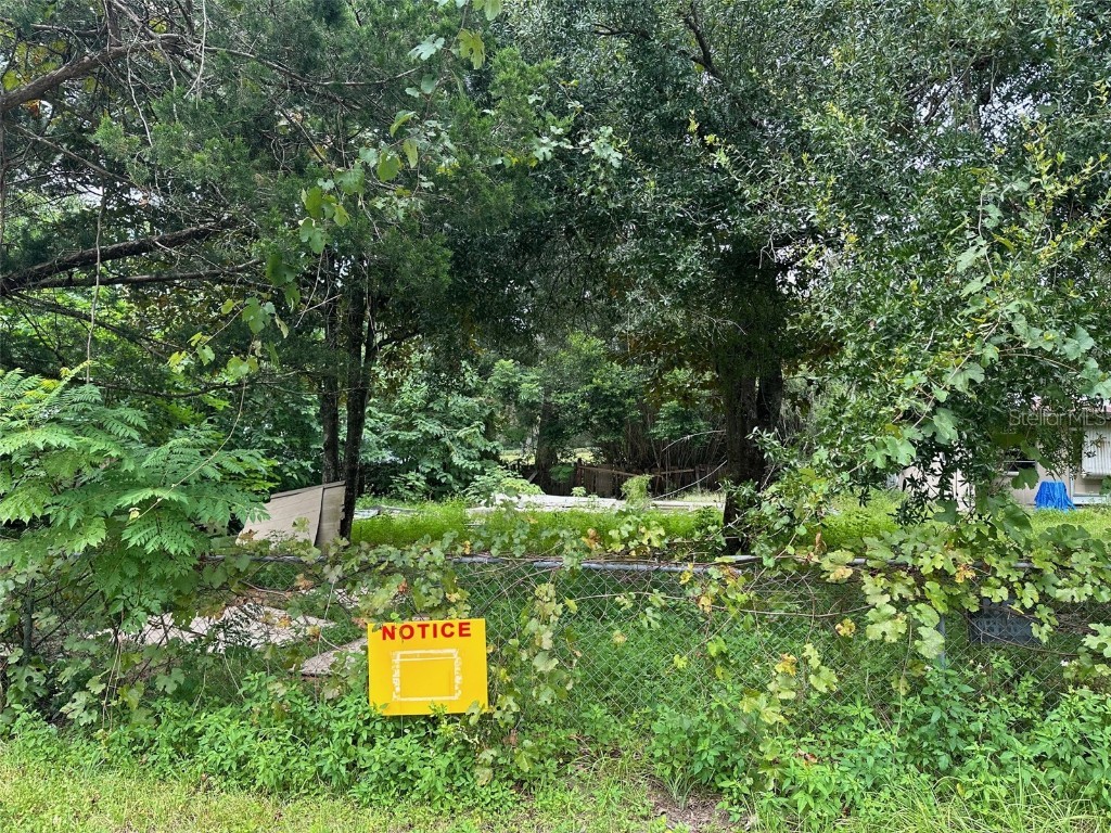 3231 E Buffalo Lane Hernando FL 34442 O6273825 image1