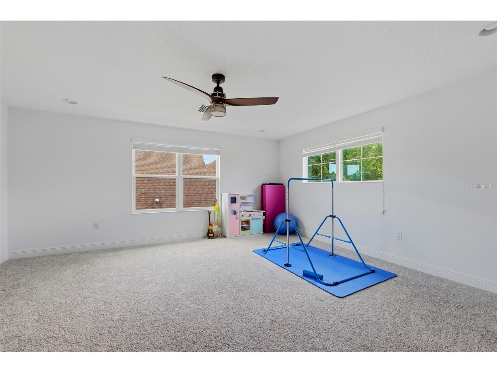 3231 Heart Pine Avenue Odessa FL 33556 W7886222 image21