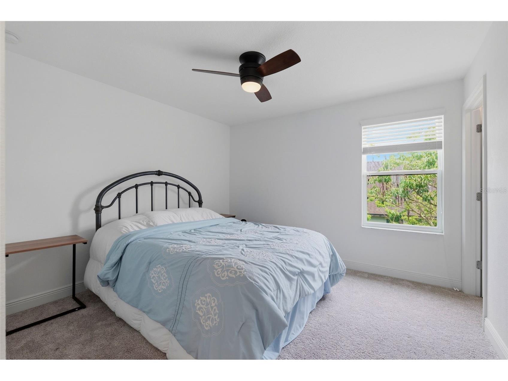 3231 Heart Pine Avenue Odessa FL 33556 W7886222 image22