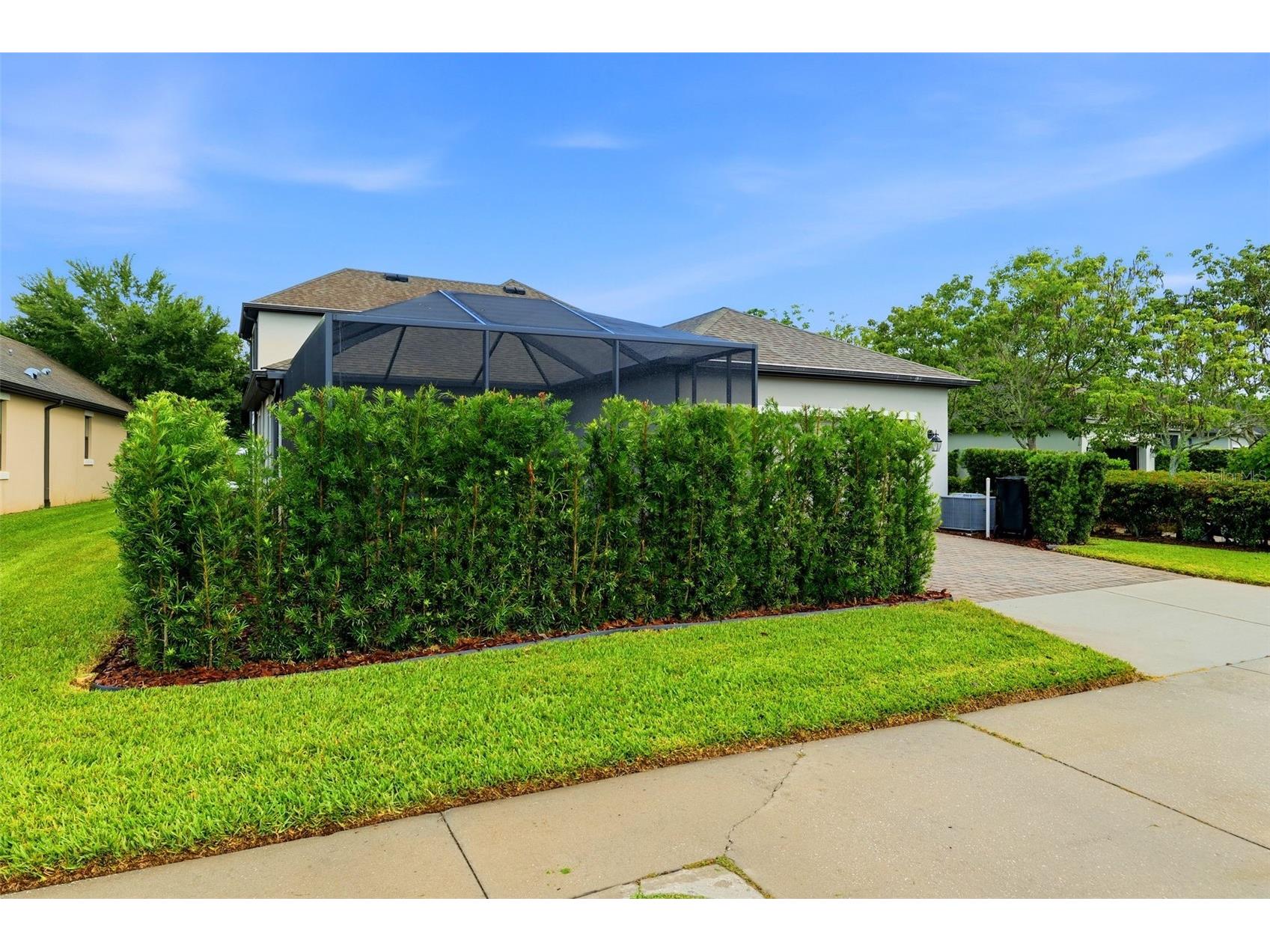 3231 Heart Pine Avenue Odessa FL 33556 W7886222 image30
