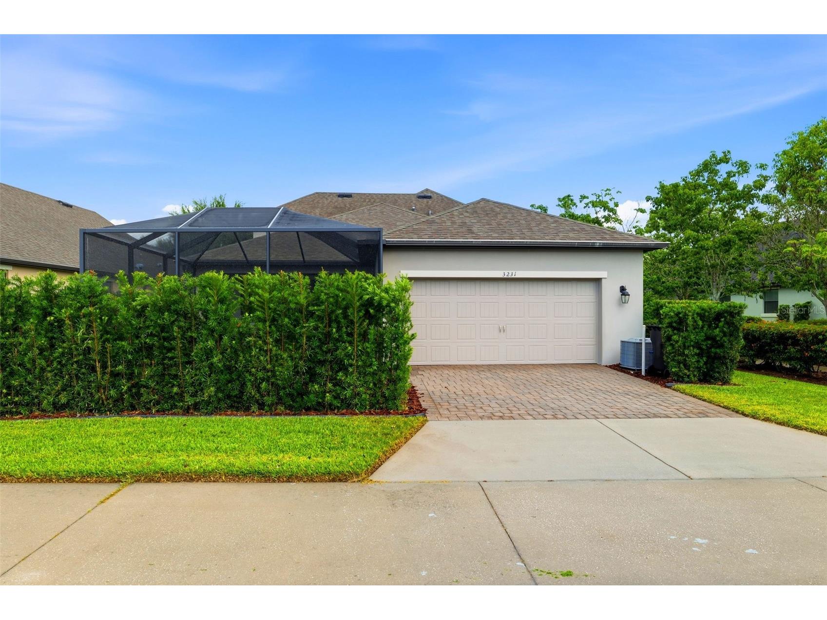 3231 Heart Pine Avenue Odessa FL 33556 W7886222 image31