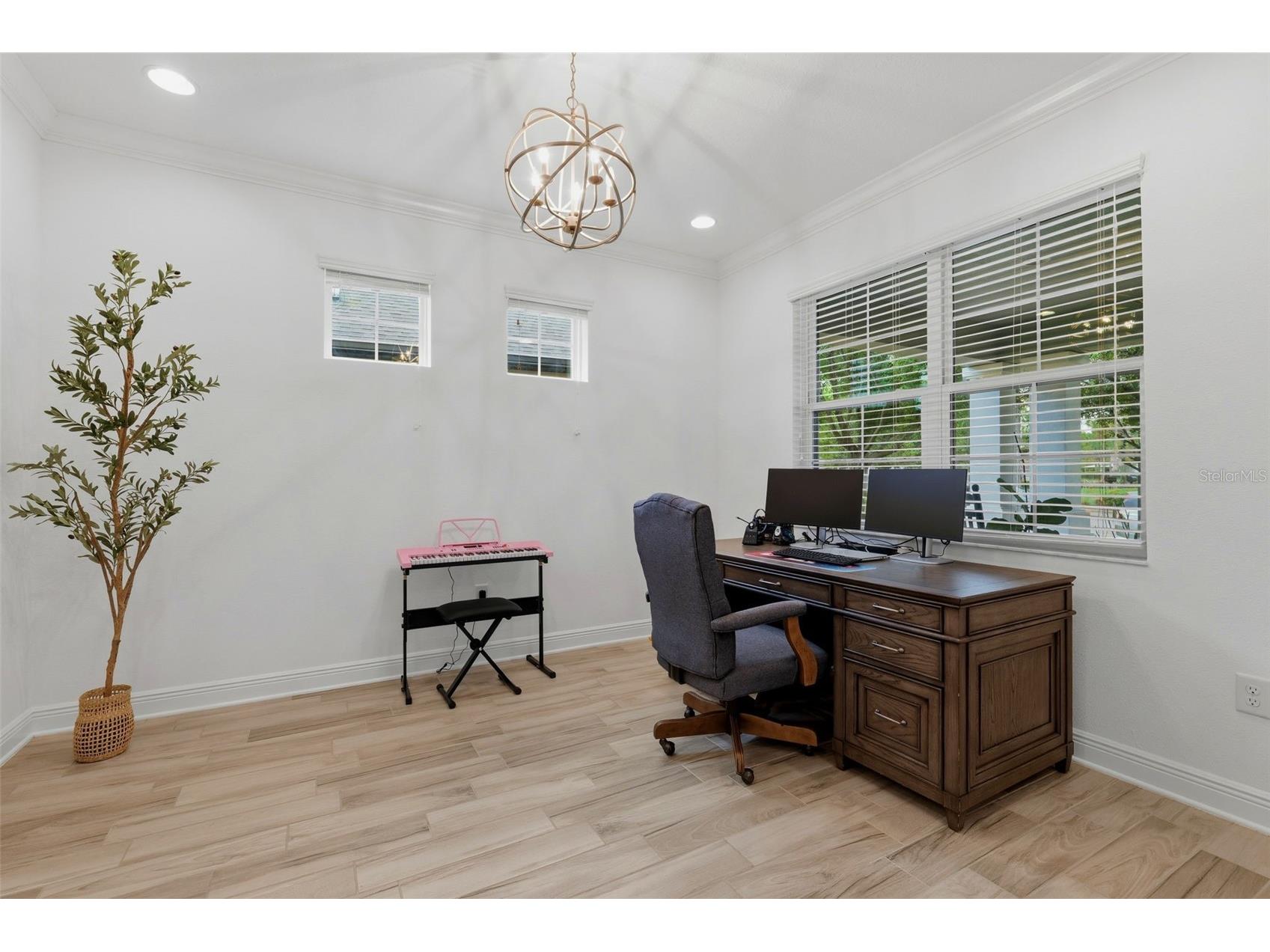 3231 Heart Pine Avenue Odessa FL 33556 W7886222 image6