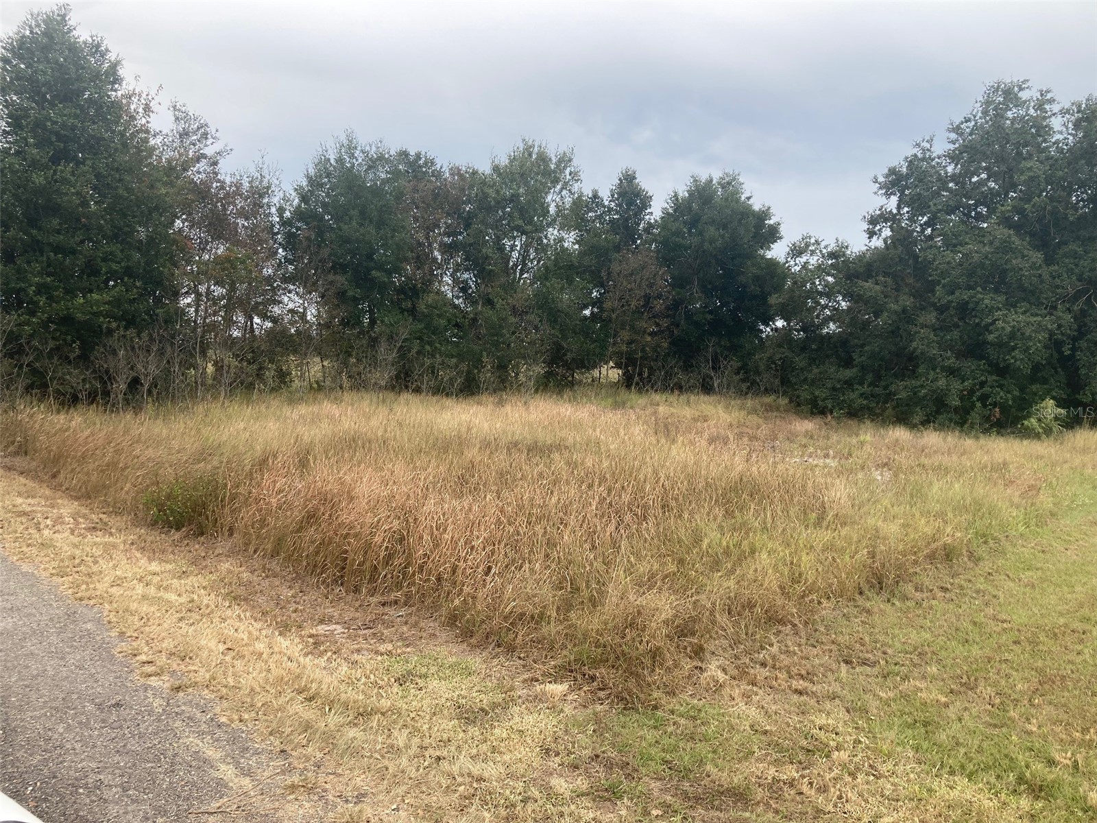 3231 Mountain Lake Cutoff Road Lake Wales FL 33859 TB8469737 image1