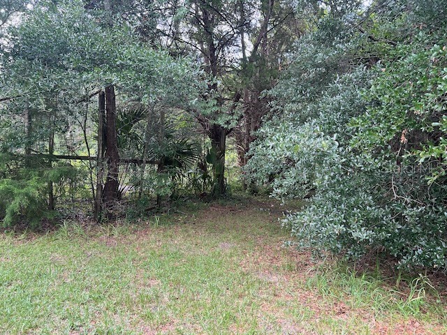 3231 NE Hwy 41 Williston FL 32696 OM649657 image20