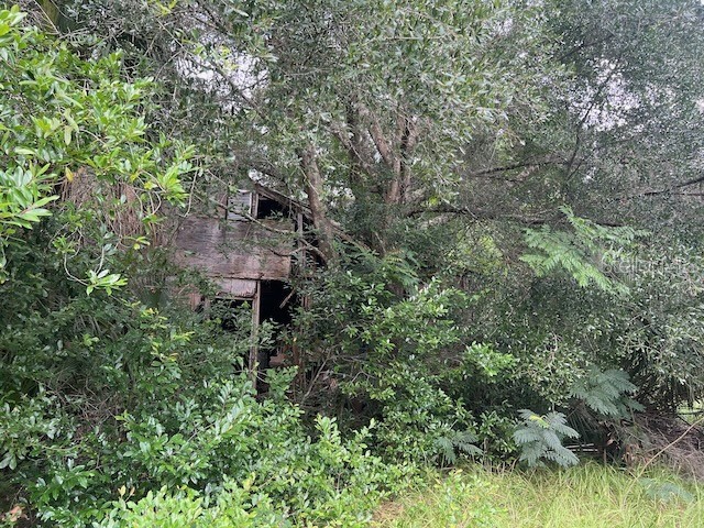 3231 NE Hwy 41 Williston FL 32696 OM649657 image22