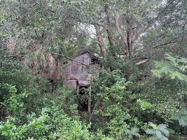 3231 NE Hwy 41 Williston FL 32696 OM649657 image23