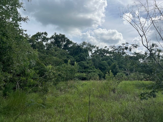 3231 NE Hwy 41 Williston FL 32696 OM649657 image24