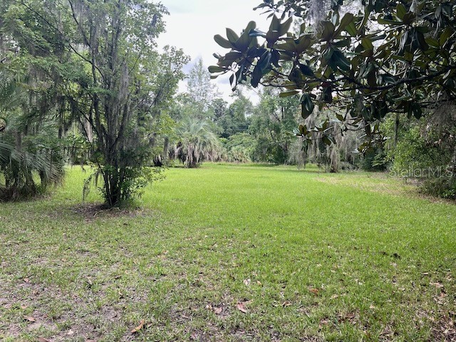 3231 NE Hwy 41 Williston FL 32696 OM649657 image9