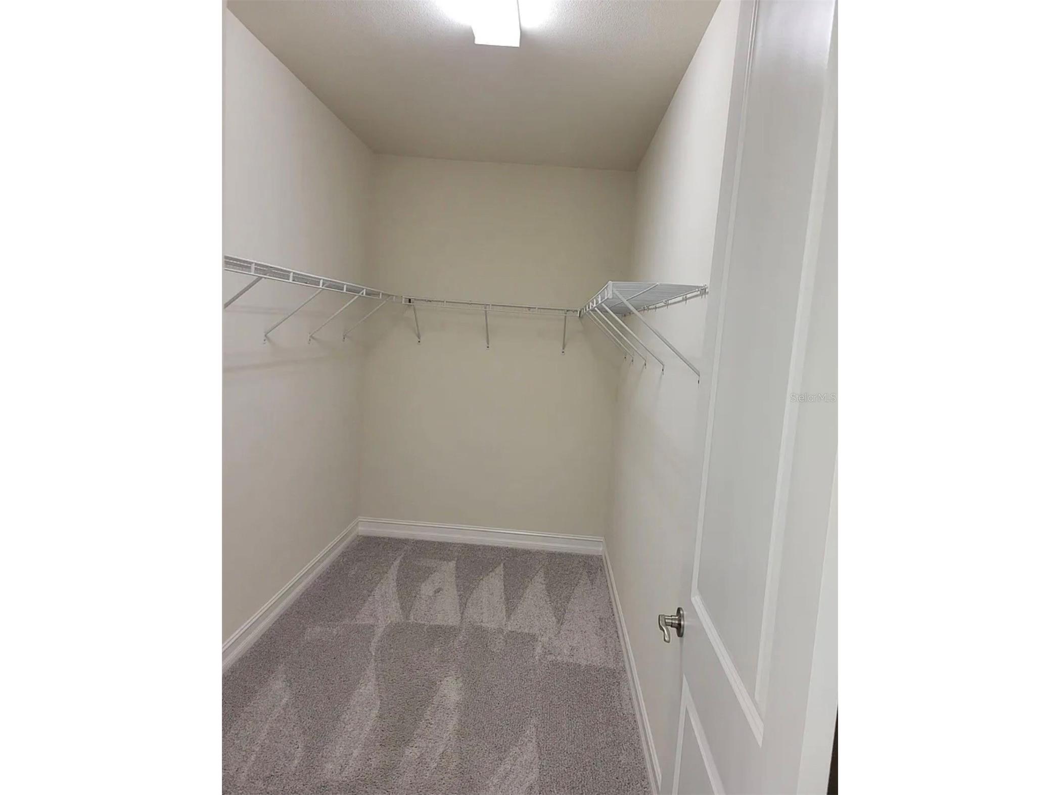 3231 Painted Blossom Court Lutz FL 33558 TB8503840 image10