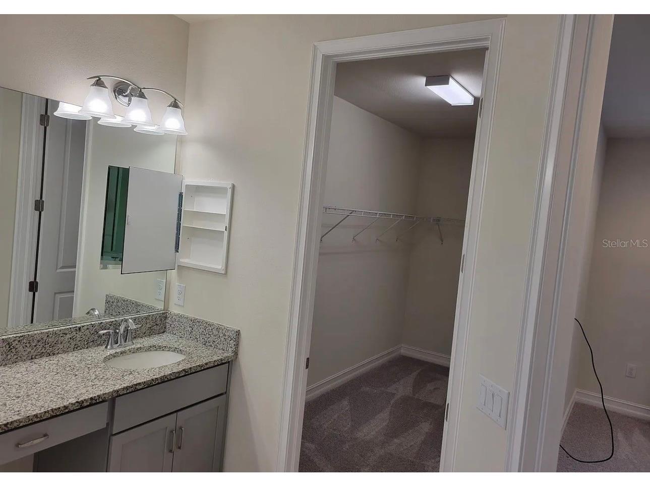 3231 Painted Blossom Court Lutz FL 33558 TB8503840 image13