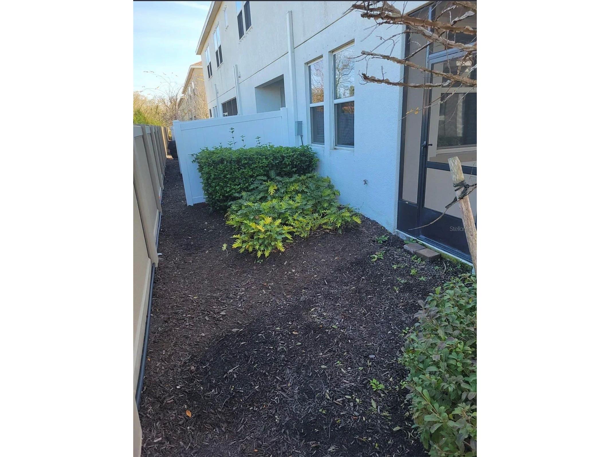 3231 Painted Blossom Court Lutz FL 33558 TB8503840 image14