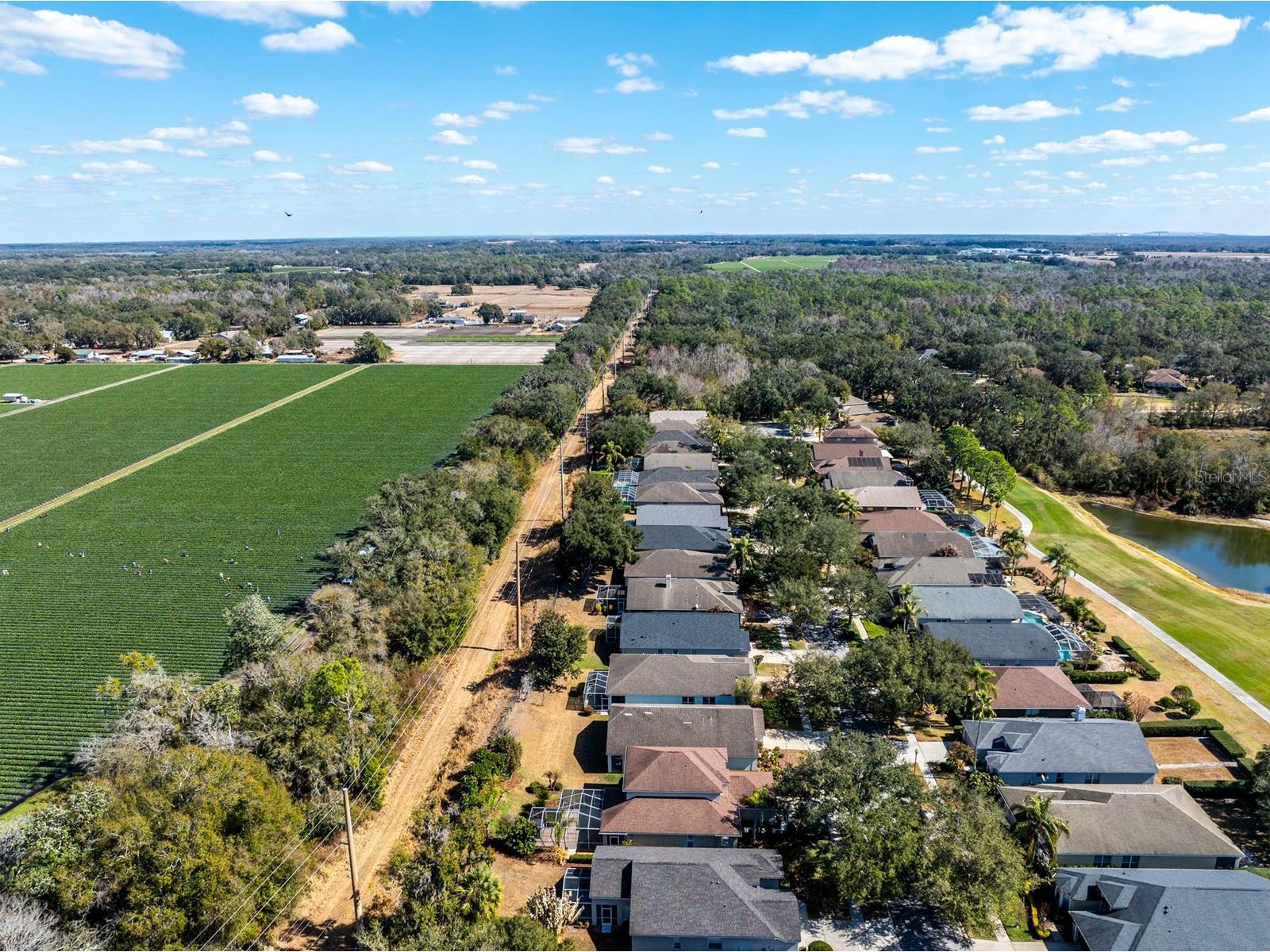 3231 Stonebridge Trail Valrico FL 33596 TB8473922 image44