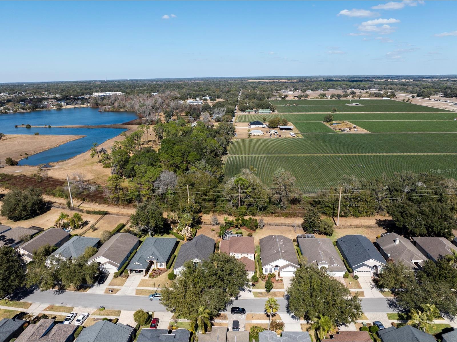 3231 Stonebridge Trail Valrico FL 33596 TB8473922 image46