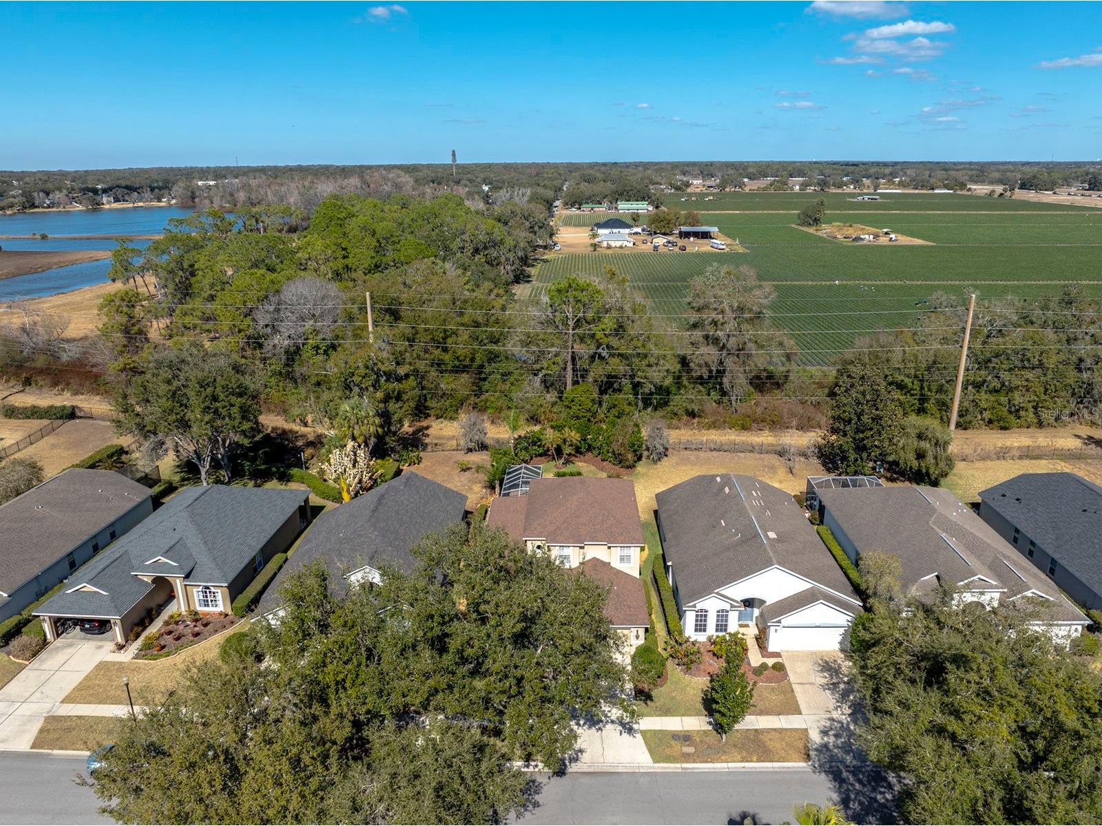 3231 Stonebridge Trail Valrico FL 33596 TB8473922 image47