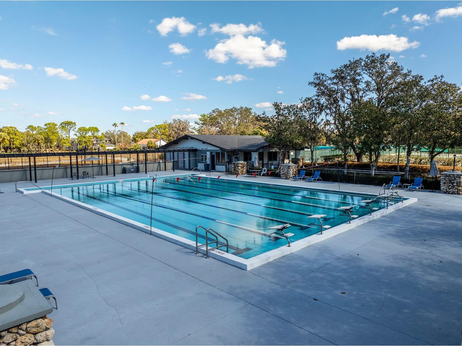 3231 Stonebridge Trail Valrico FL 33596 TB8473922 image50