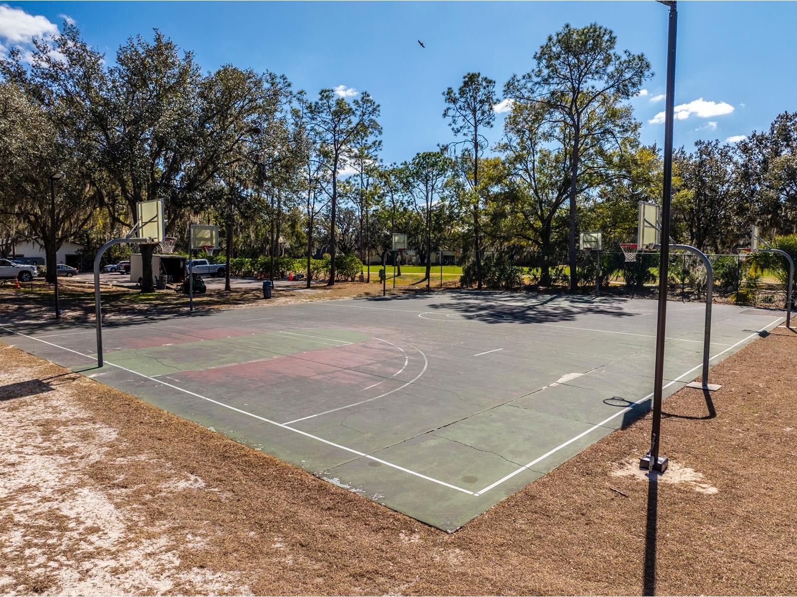 3231 Stonebridge Trail Valrico FL 33596 TB8473922 image53