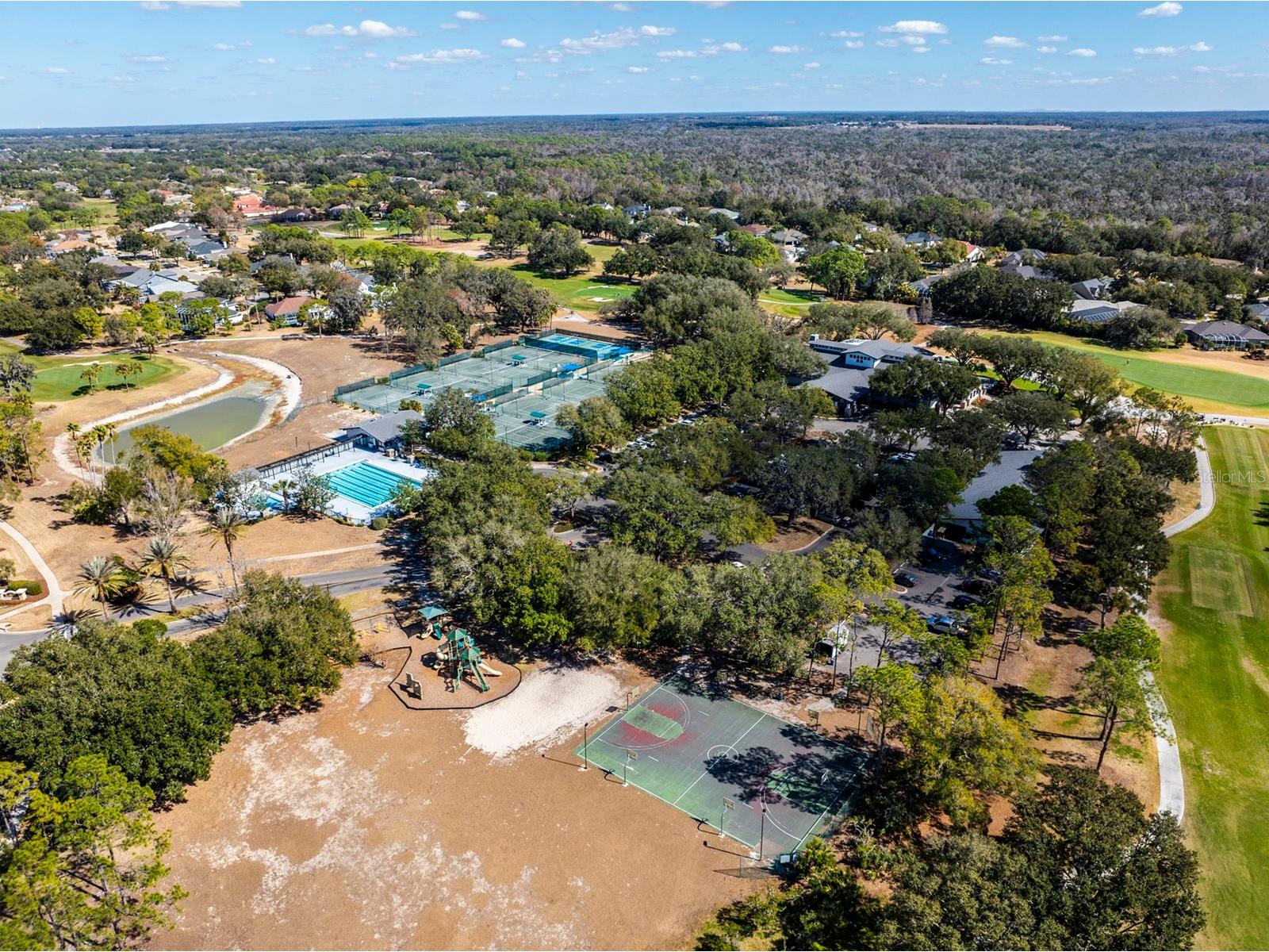 3231 Stonebridge Trail Valrico FL 33596 TB8473922 image54