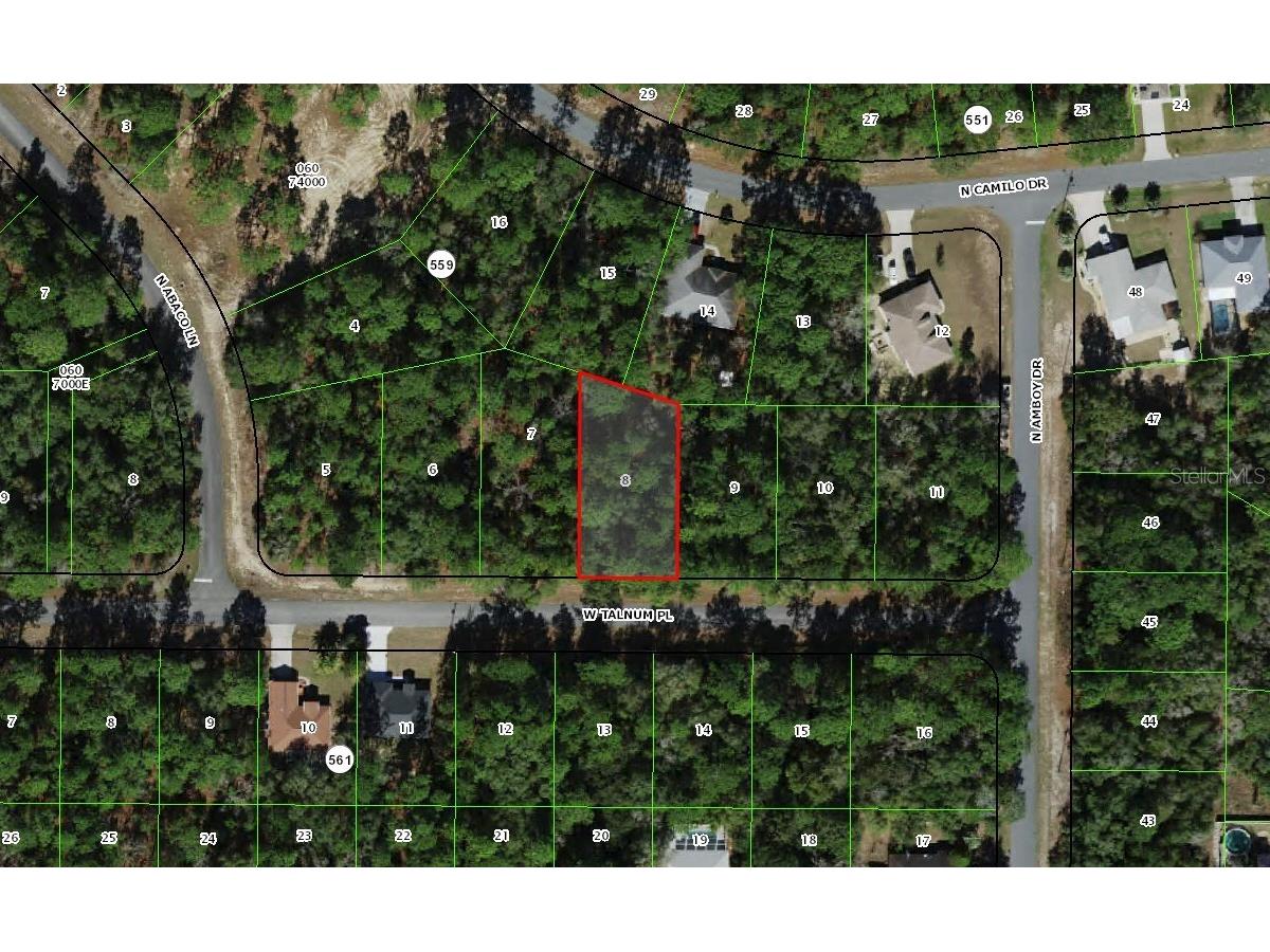 3231 W Talinum Place Citrus Springs FL 34433 W7863603 image1