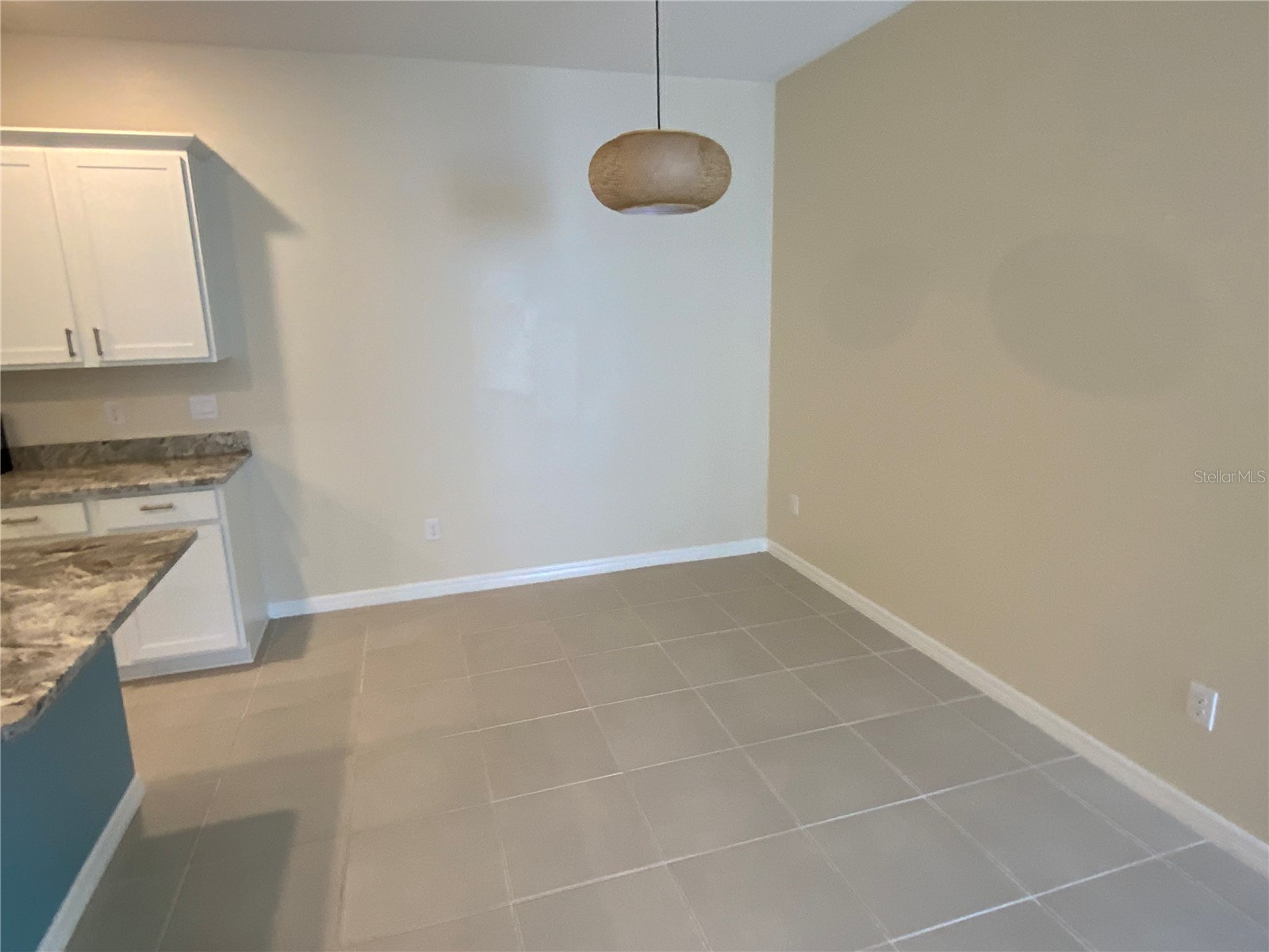 32310 Lexington Street Wesley Chapel FL 33543 TB8503834 image13