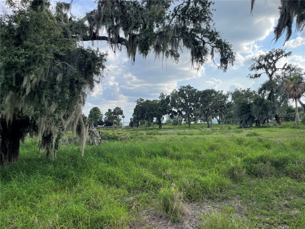 32311 Anglers Avenue Leesburg FL 34788 - LAKE HARRIS - HARRIS CHAIN G5097704 image6