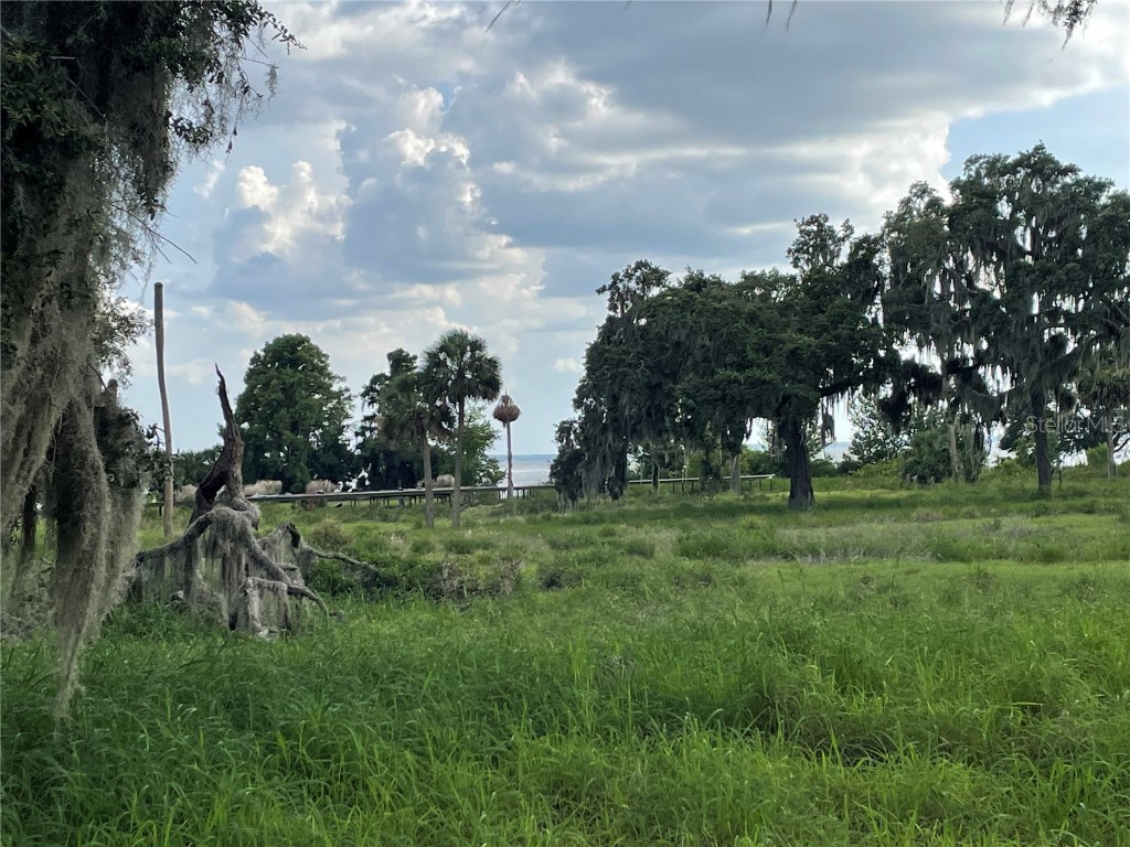 32311 Anglers Avenue Leesburg FL 34788 - LAKE HARRIS - HARRIS CHAIN G5097704 image7