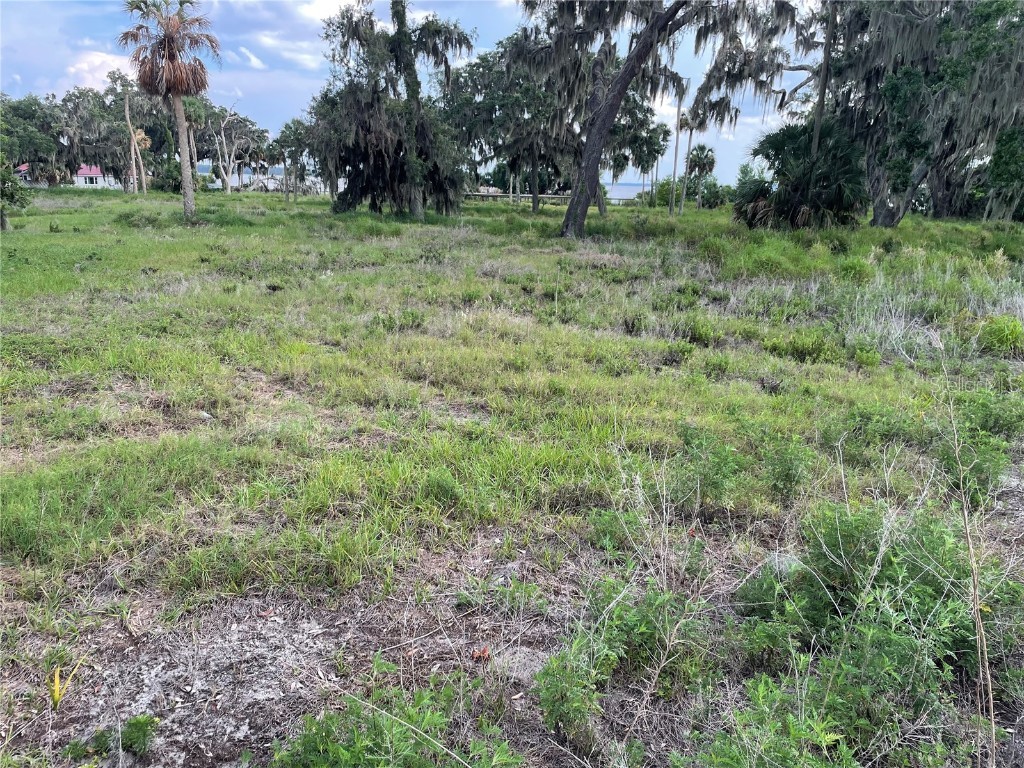 32311 Anglers Avenue Leesburg FL 34788 - LAKE HARRIS - HARRIS CHAIN G5097704 image8