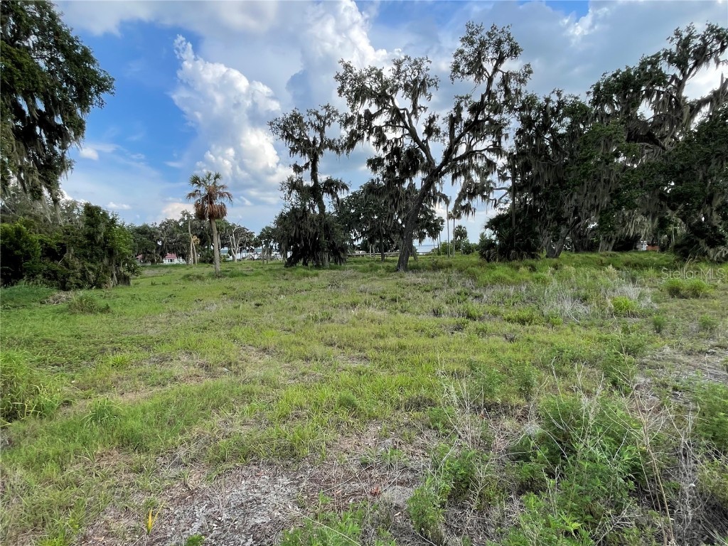 32311 Anglers Avenue Leesburg FL 34788 - LAKE HARRIS - HARRIS CHAIN G5097704 image9