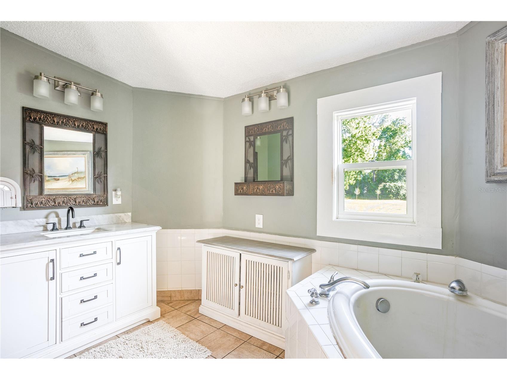 32316 Chipola Trail Sorrento FL 32776 - WEKIVA RIVER O6424038 image11