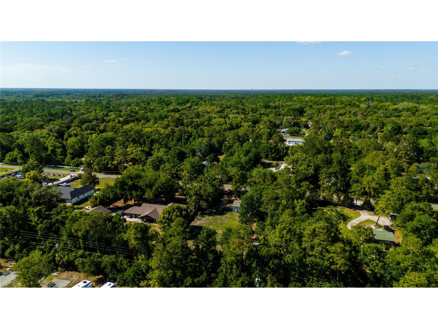32316 Chipola Trail Sorrento FL 32776 - WEKIVA RIVER O6424038 image20